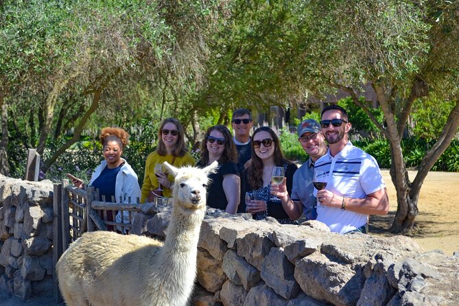 Santiago: Viña del Mar, Valparaiso & Casablanca Valley Tour - Guides and Drivers: The Human Piece That Makes It Flow