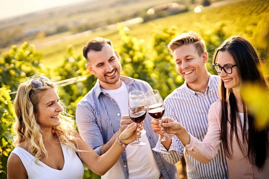 Santiago: World-class Wines, Visit to 4 Vineyards and Tanino - Key highlights you’ll feel right away