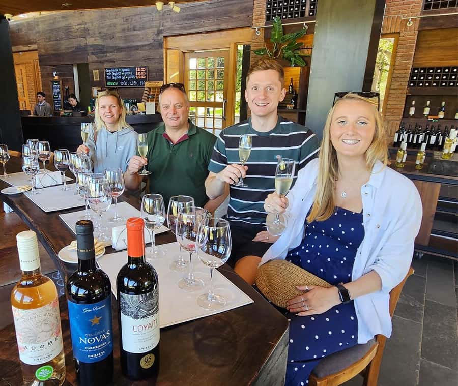 Santiago: World-class Wines, Visit to 4 Vineyards and Tanino - Who this tour suits best (and who might want a different plan)