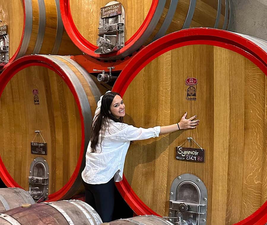 Santiago: World-class Wines, Visit to 4 Vineyards and Tanino - From central Santiago to the Curacaví roads of wine country