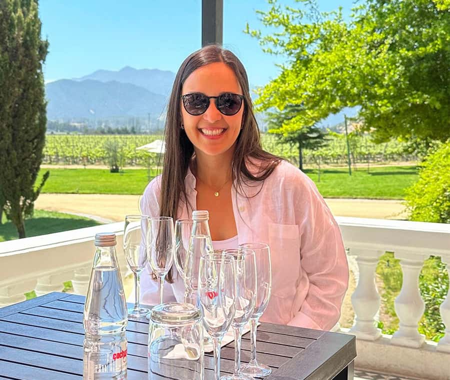 Santiago: World-class Wines, Visit to 4 Vineyards and Tanino - Viñamar’s sparkling and still lineup in the Casablanca heart