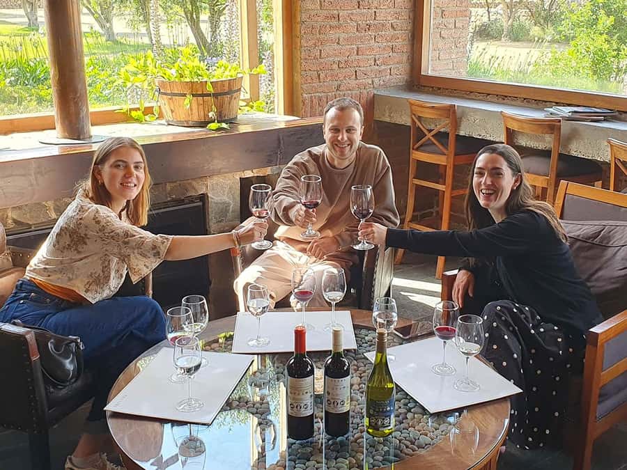 Santiago: World-class Wines, Visit to 4 Vineyards and Tanino - Emiliana Organic Vineyards and the biodynamic mindset