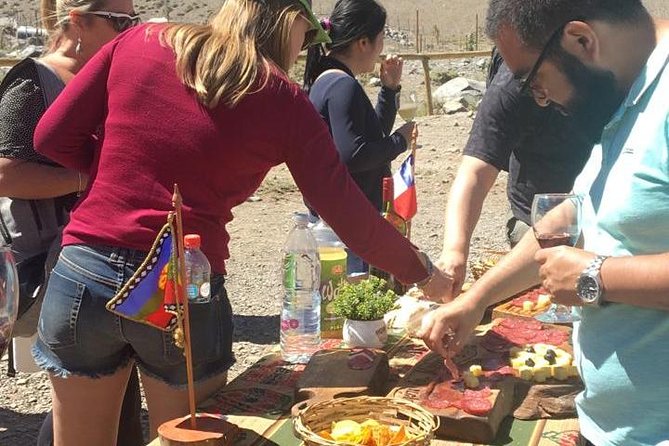 Small-Group Cajón del Maipo Full-Day Tour and Picnic - Price and what your money buys in real life