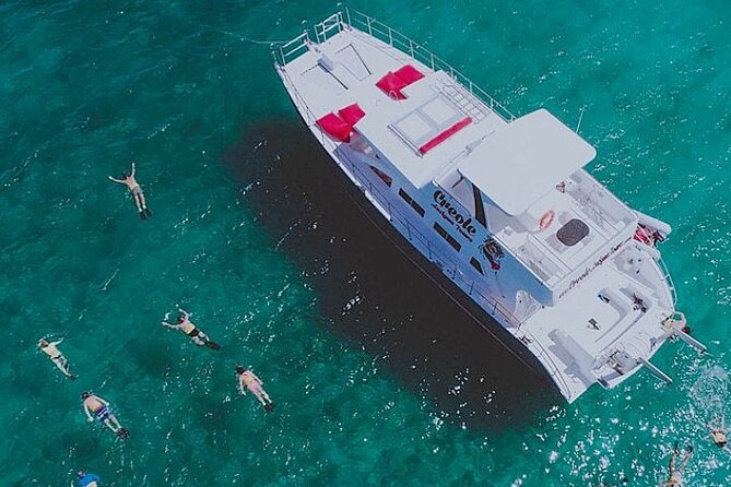 Snorkel - Lobster Lunch Cruise to Bird Island and Paradise Reef - Key things you’ll notice on this cruise