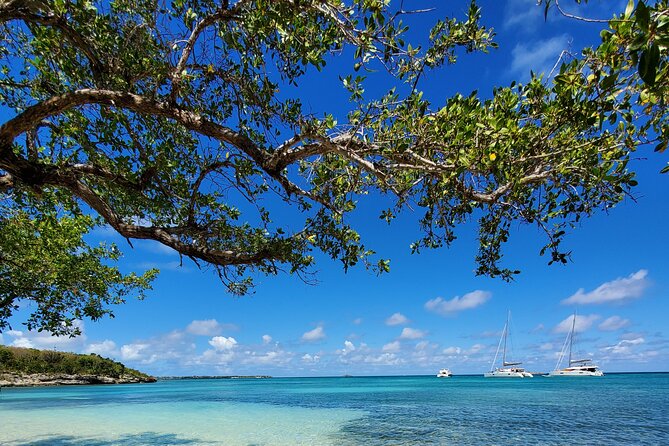 Snorkel - Lobster Lunch Cruise to Bird Island and Paradise Reef - Price and value at $185 per person