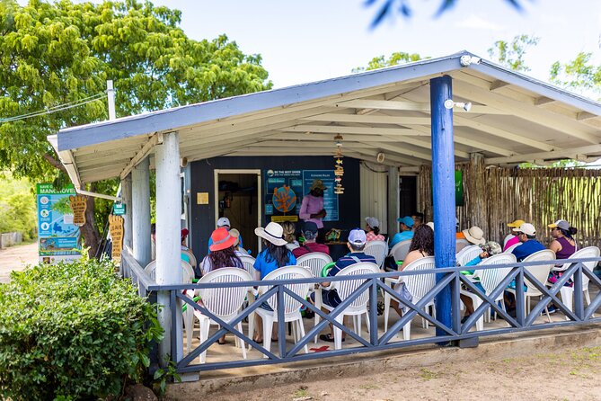 SoCoHo Eco Half Day - Mangrove Kayak & Reef Snorkeling - The hop to Cades Bay, then snorkeling at Cades Reef
