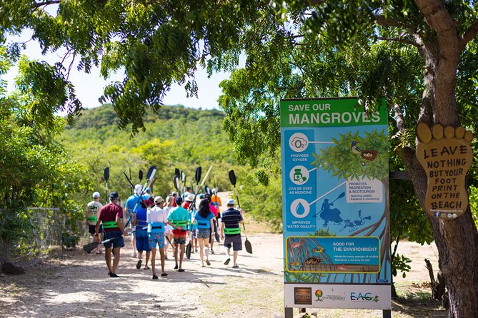 SoCoHo Eco Half Day - Mangrove Kayak & Reef Snorkeling - Snacking, rum punch, and the optional lunch on the beach