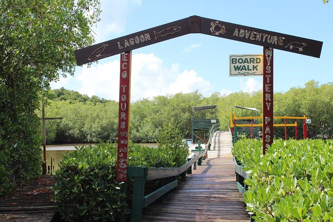 SoCoHo Eco Half Day - Mangrove Kayak & Reef Snorkeling - Who this tour fits best in Antigua