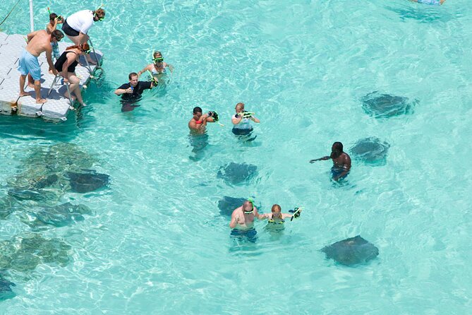 Stingray City - Quick hits before you swim with stingrays