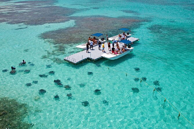 Stingray City - Why Stingray City Antigua feels different from a drive-by boat tour