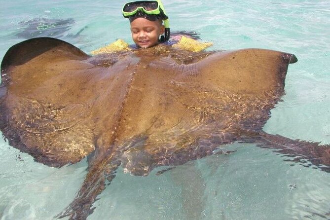 Stingray City - What you actually get in the experience (and what you don’t)