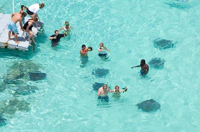 Stingray City - Snorkel viewing plus reef life, not just rays