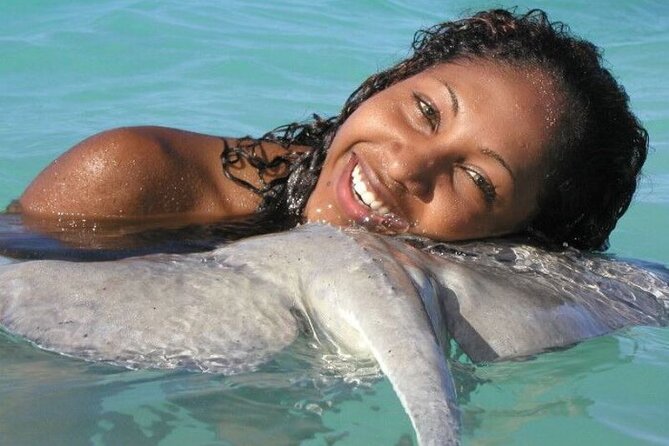 Stingray City - How the price stacks up for a small, guided in-water experience