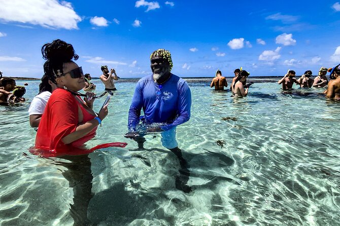 Stingray City Experience Antigua - Cruise Ship Passengers Edition - Meeting the stingrays the ethical, barrier-free way