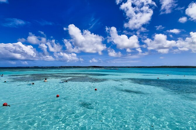 Stingray City Experience Antigua - Cruise Ship Passengers Edition - Guide-led safety and friendly hosts (Tafari and Greta stand out)