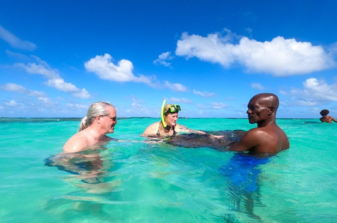 Stingray City Experience Antigua - Cruise Ship Passengers Edition - The $139.90 value check, what’s included and why it matters