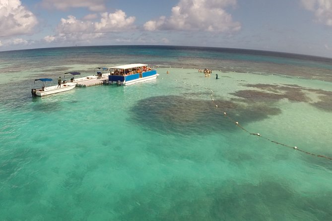 Stingray City - The flow of your day, from hotel pickup to being in the water
