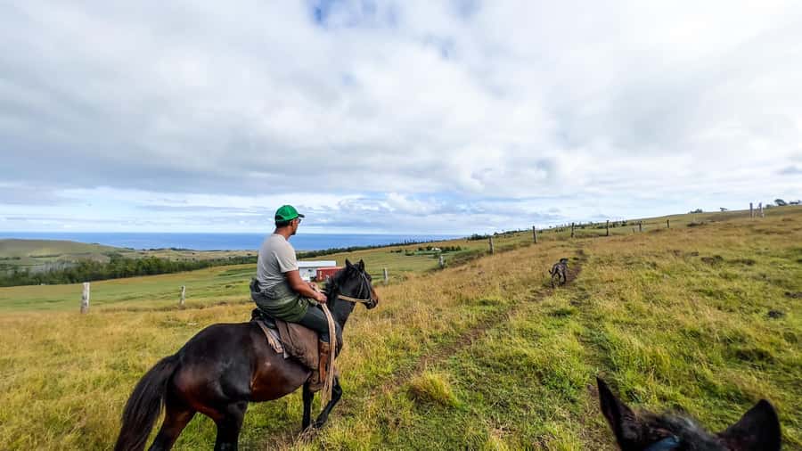 Terevaka Horse Excursion: The highest point and 360° view. - Key highlights at a glance