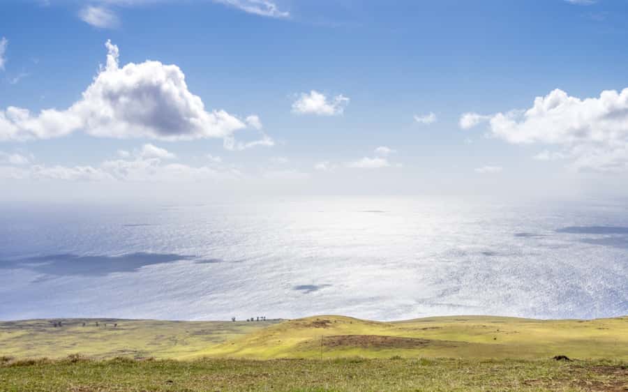 Terevaka Horse Excursion: The highest point and 360° view. - Who should book this horse excursion, and who should skip it