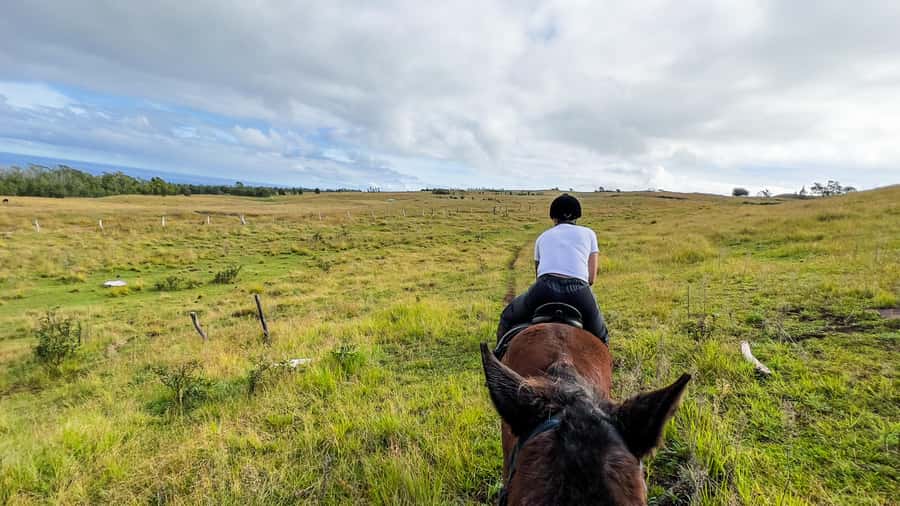 Terevaka Horse Excursion: The highest point and 360° view. - Small group size and Spanish guiding, what you really get