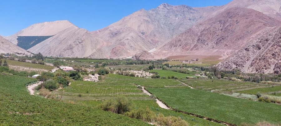 The Magnificient Elqui Valley Grand Tour - Paihuano and Vicuña: early stops that set the tone fast