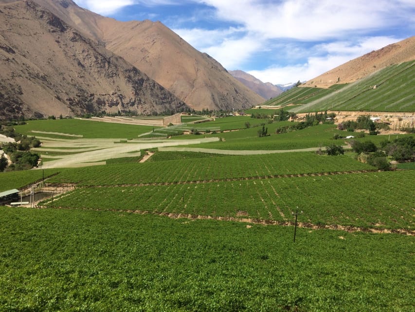 The Magnificient Elqui Valley Grand Tour - Meet Cristóbal: the guide quality is the secret ingredient