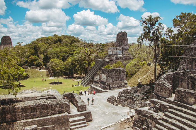 Tikal Tour From Antigua - The 5-mile jungle walk and 4 temple climbs