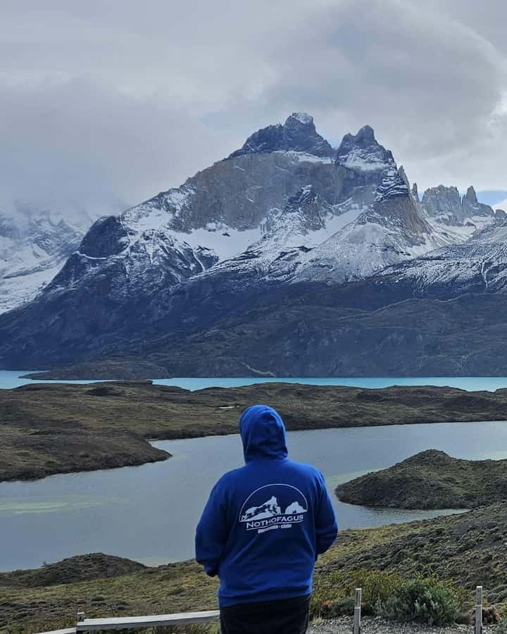 Torres del Paine: Full Day Excursion Torres del Paine + Milodon Cave. - Key takeaways