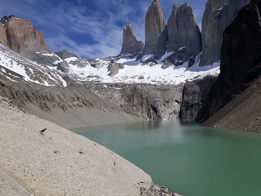 Torres del Paine: Full-Day Trekking Excursion - Torres del Paine in One Long Day From Puerto Natales