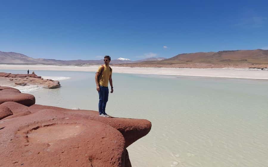 Tour Piedras Rojas + Altiplanic Lagoons + Chaxa Lagoon - Laguna Chaxa in Los Flamencos: where the birds do the talking
