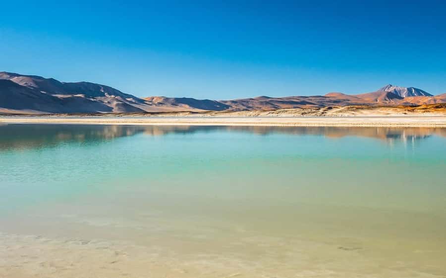 Tour Piedras Rojas + Altiplanic Lagoons + Chaxa Lagoon - Toconao stop: architecture, craftsmanship, and a place with an Indigenous name