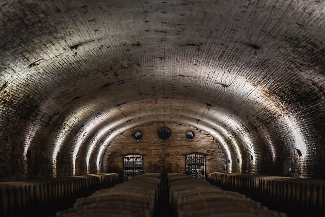 "Tour Tradicional" Viña Cousiño Macul Oficial portugués - Sustainable viticulture, explained in plain terms