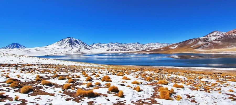 Triple tour: Red stones, highland lagoons and Chaxa Lagoon - Socaire and the adobe village feel