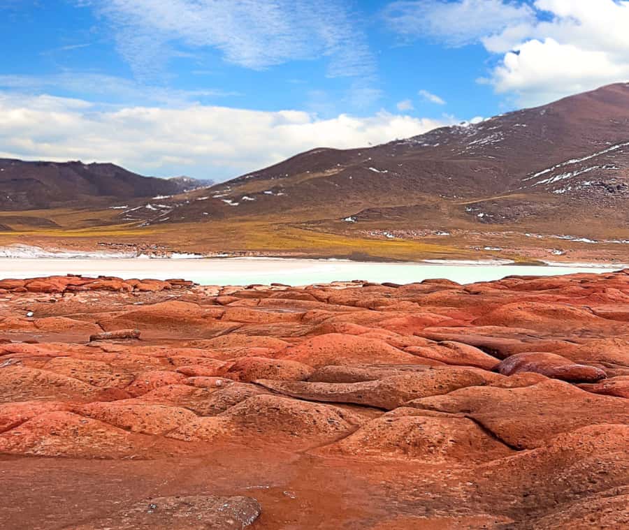 Triple tour: Red stones, highland lagoons and Chaxa Lagoon - Piedras Rojas: why the red stones look different up close