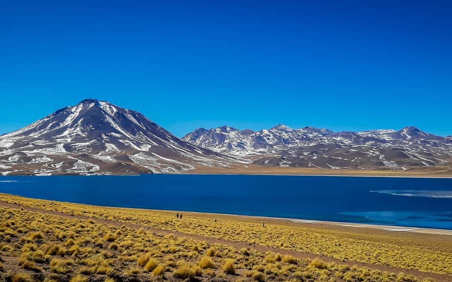 Triple tour: Red stones, highland lagoons and Chaxa Lagoon - Starting smart: breakfast first, then the high plateau climbs