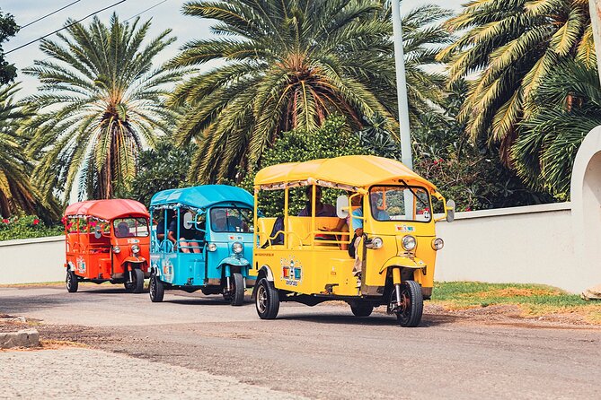 Tuk-Tuk Adventures Rainforest and Beach Hopping Tour - Rainforest Stops and Local Fruit: Where the Tour Gets Personal
