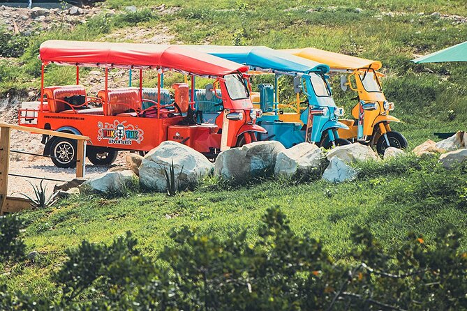 Tuk-Tuk Adventures Rainforest and Beach Hopping Tour - Who This Tour Suits Best (and Who Might Want a Different Plan)