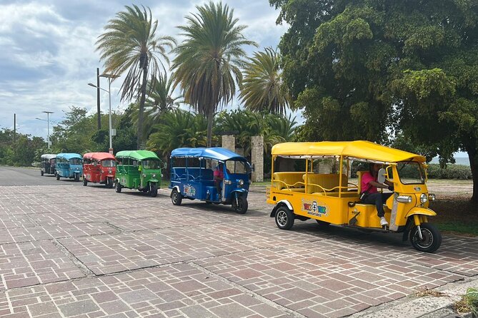 Tuk-Tuk Adventures Rainforest and Beach Hopping Tour - Fig Tree Drive Start: Heritage Quay Meets Open-Air Tuk-Tuk Energy