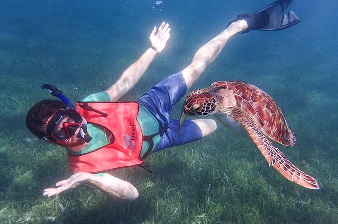 Under the Sea snorkeling(Stingray/Kayak/ Power Snorkel available) - Price and value, is $150 per person fair