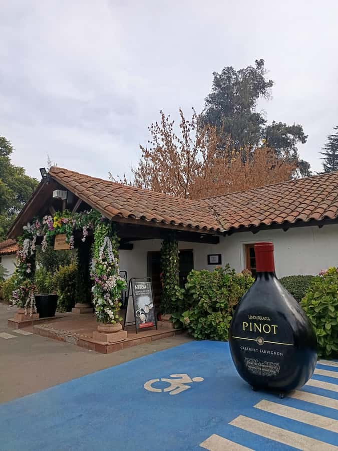 UNDURRAGA VINEYARD - Key things I’d highlight before you go