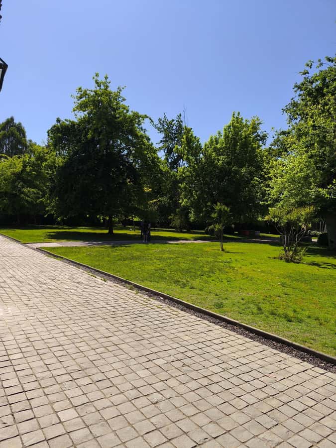 UNDURRAGA VINEYARD - Vineyard time: what you’ll do once you arrive