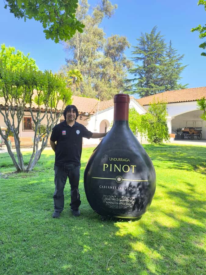 UNDURRAGA VINEYARD - Getting to the Maipo Valley without logistics stress