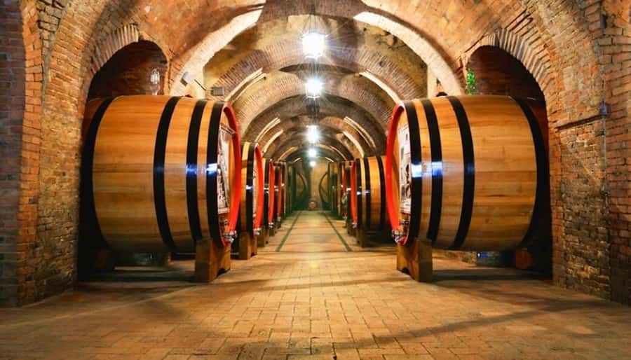 Undurraga Wine tour - The Winery Visit: What You See and Why It Feels Worth It