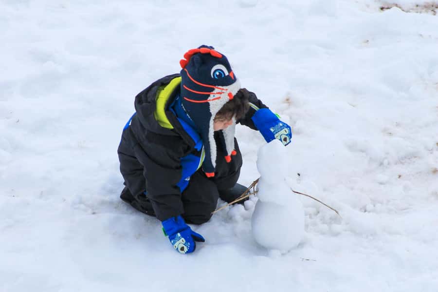 Valle Nevado Tour - Key Highlights Worth Knowing