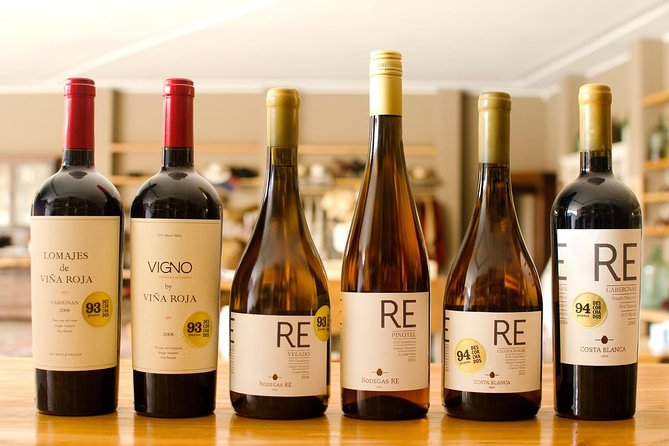 Valparaiso & Casablanca : Wine, Gastronomy and Living Culture - Ascensor Concepción, the elevator that saves your knees