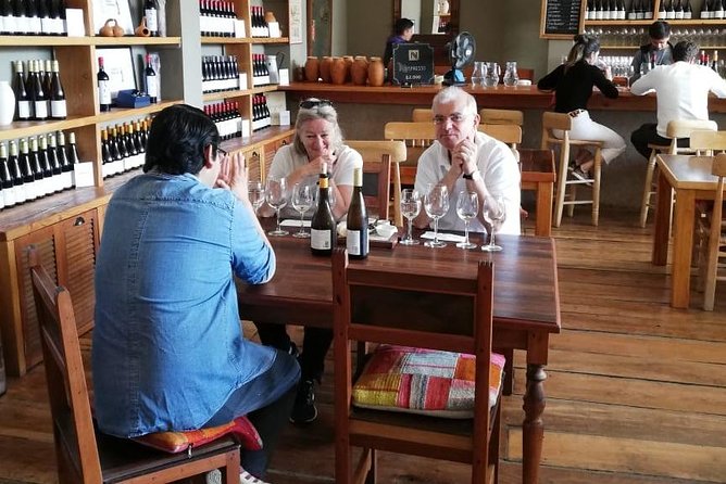 Valparaiso & Casablanca : Wine, Gastronomy and Living Culture - Lunch and museum tickets: how to keep the day smooth