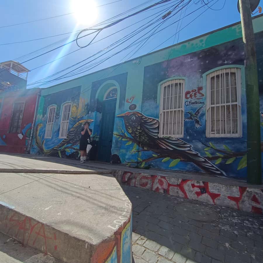 Valparaíso: city tour and ticket to the house of Pablo Neruda - The middle route: another guided visit, more scenic stops, real transit