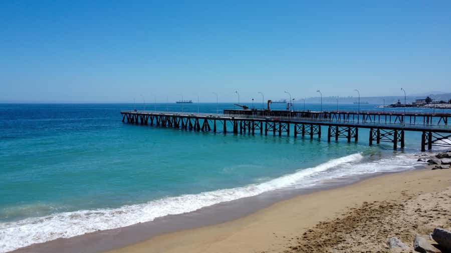 Valparaiso Port and Viña del Mar, Wine tasting in Casablanca - Should you book this Casablanca, Viña del Mar, and Valparaíso day trip?