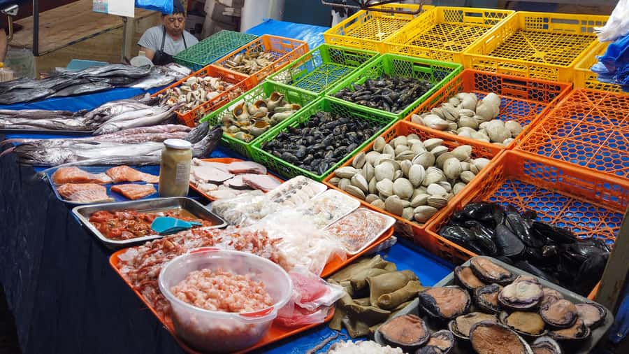 Valparaiso Port and Viña del Mar, Wine tasting in Casablanca - Casablanca Valley: chicha, vineyard tasting, and photo-friendly wine country