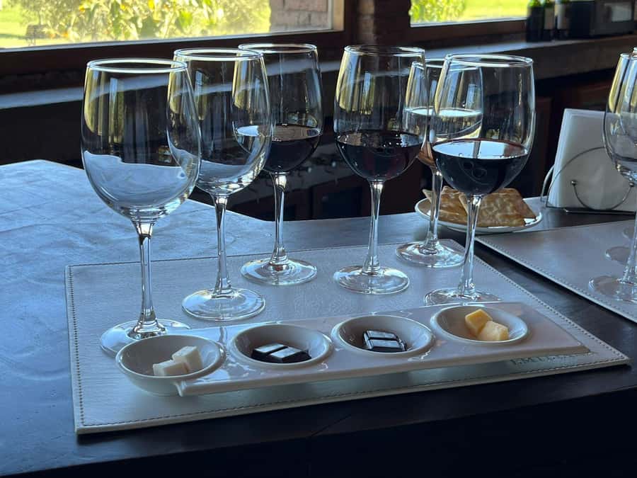 Valparaíso to Casablanca: wine tour with premium tasting and transportation - Key highlights worth planning around